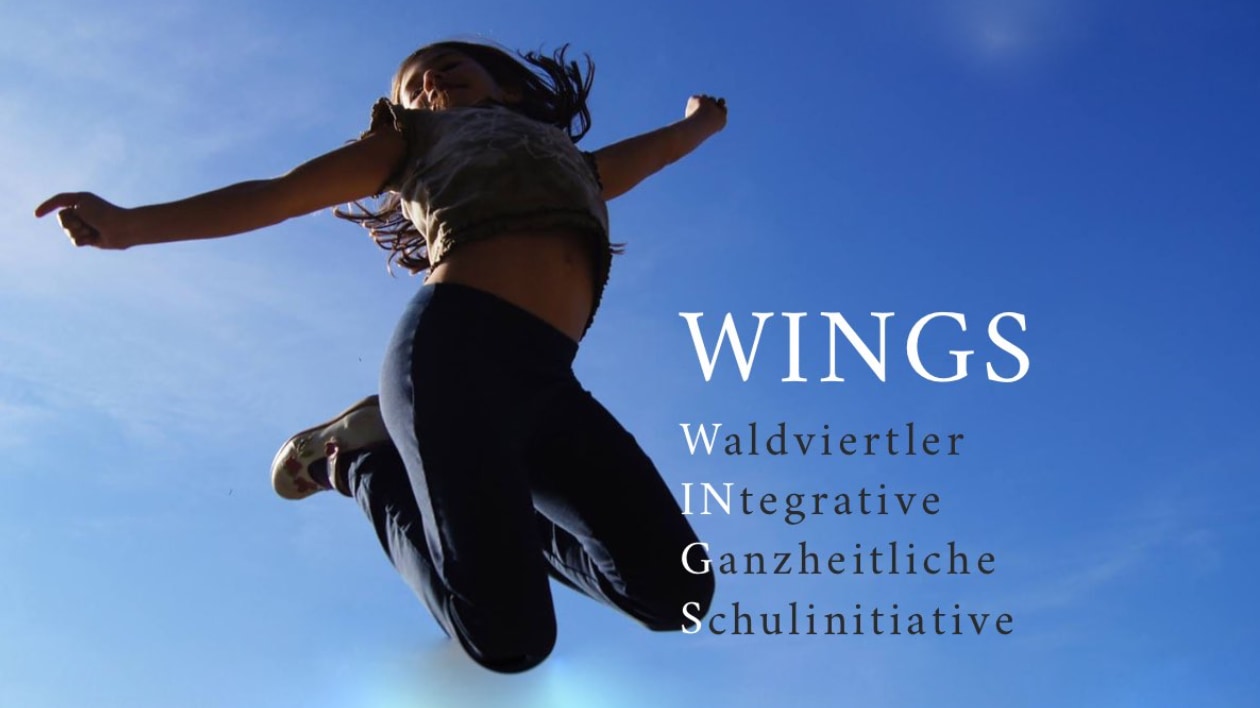 WINGS