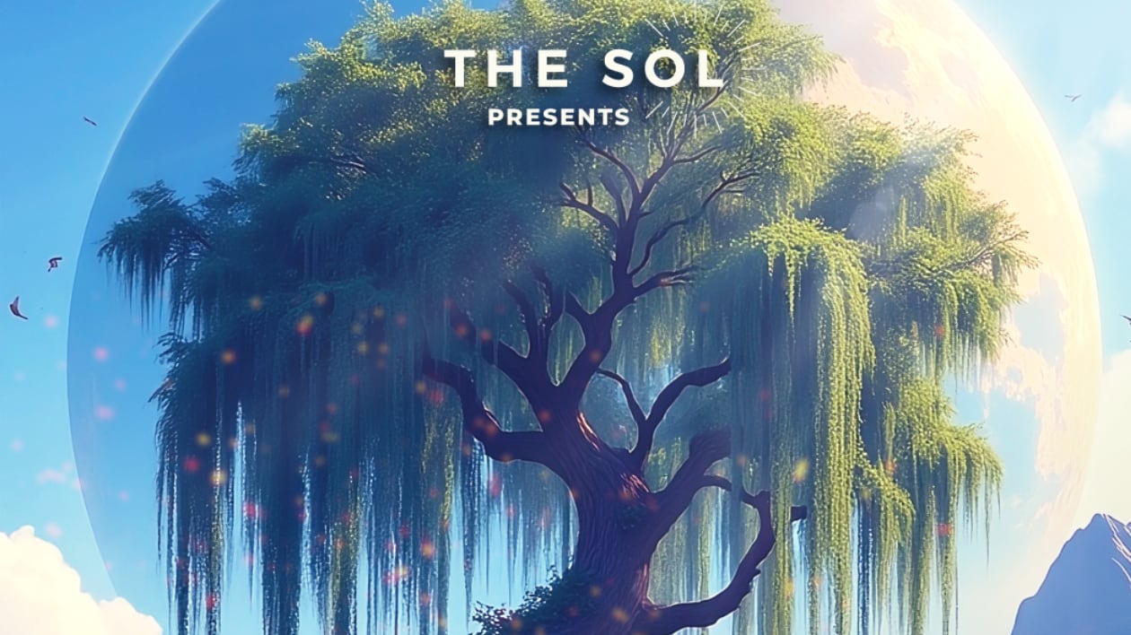 SOL Waves of Creation Camp