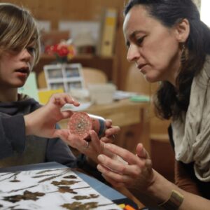 Wirkwerk Reifepr&uuml;fung