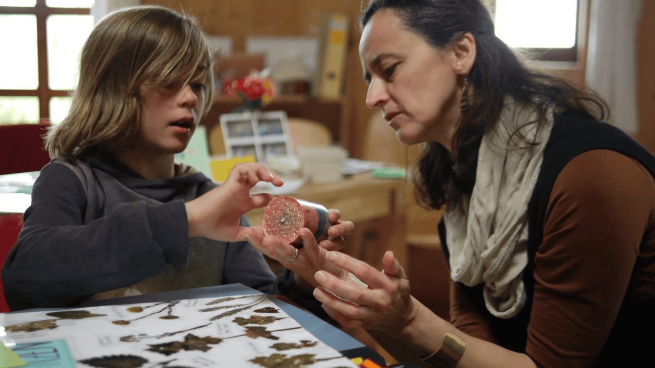 Wirkwerk Reifeprüfung